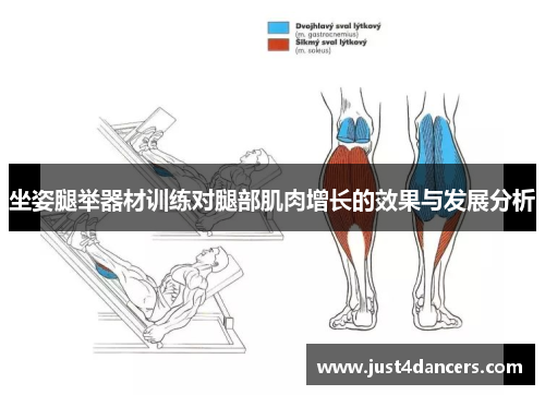 坐姿腿举器材训练对腿部肌肉增长的效果与发展分析